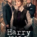 Harry Wild S05 (Episode 1 Added) | Tv Series